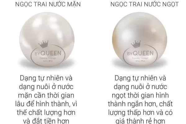 ngoc-trai-nuoc-ngot-va-ngoc-trai-nuoc-man