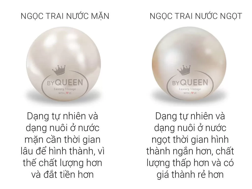 ngoc trai nguoc man va ngoc trai nuoc ngot