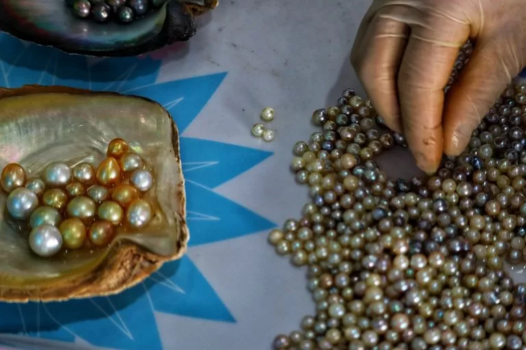 south sea pearl in cultural